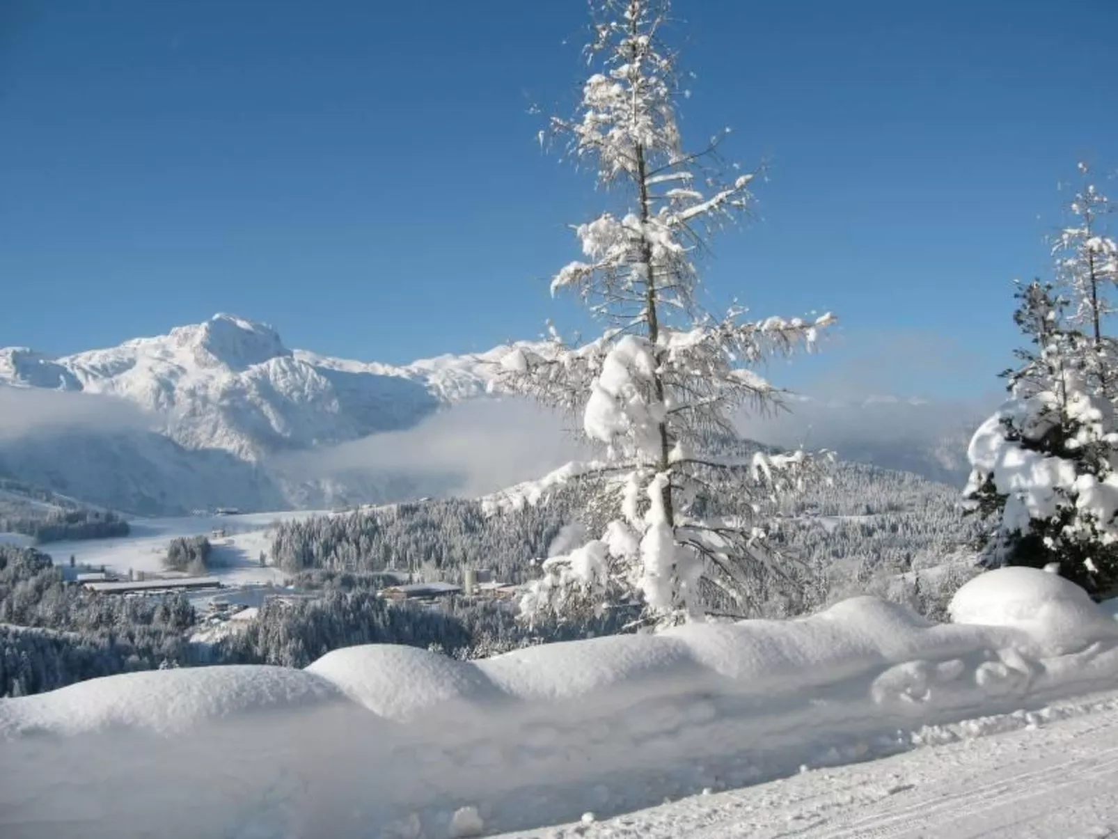 Bernstein-Image-tags.info