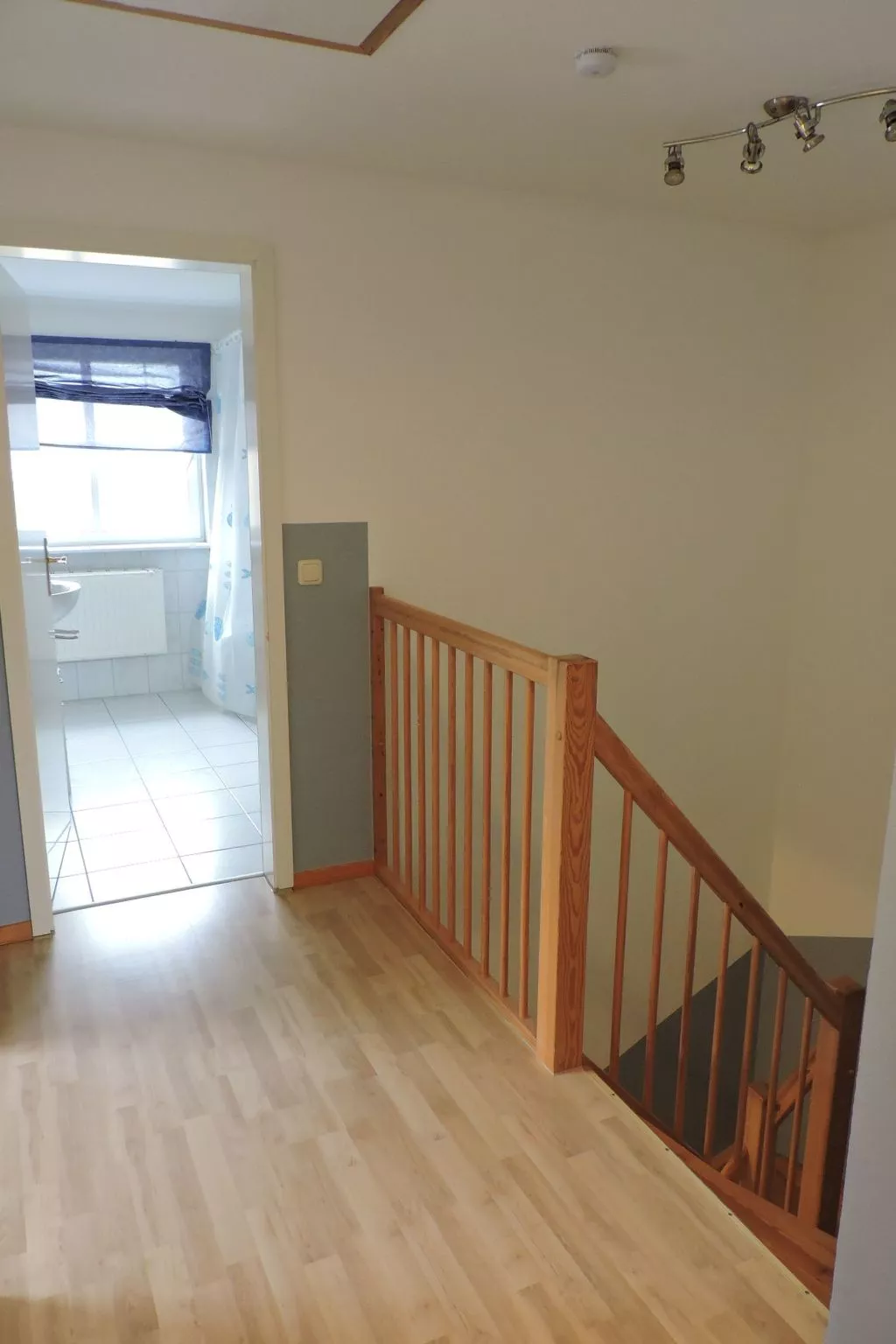 Sina-Image-tags.info