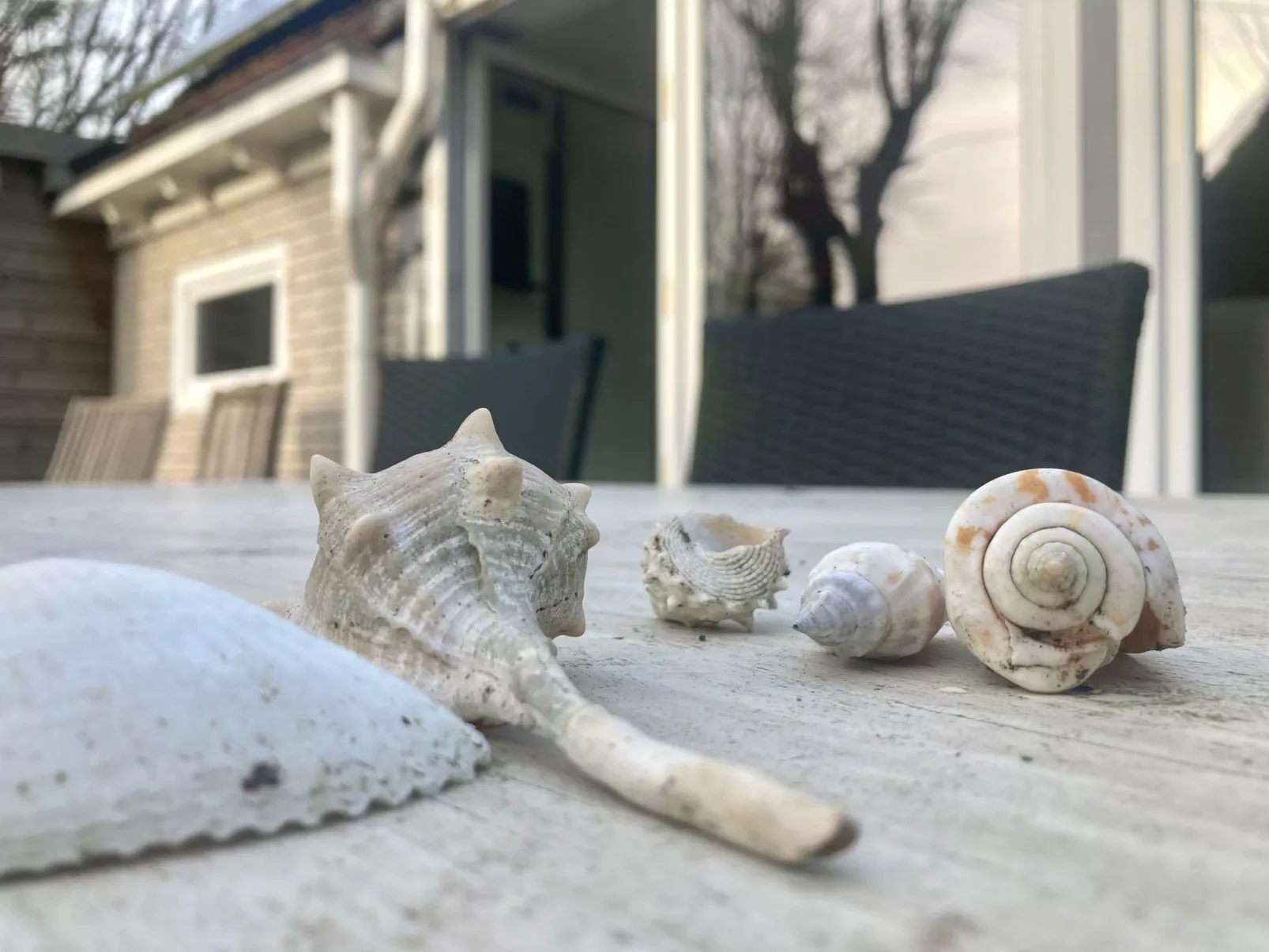 Ruhiges Ferienhaus mit großer offener Küche-Buiten