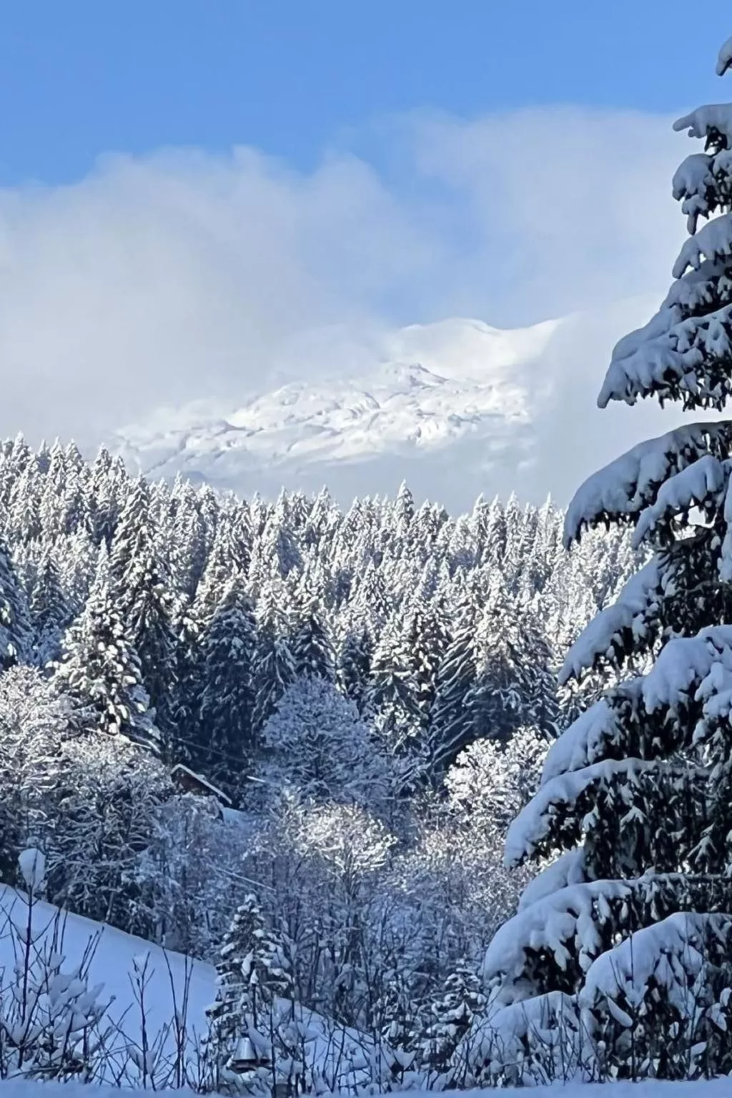 Berg-Ferienwohnung  im Chalet  Zirbeli-Buiten