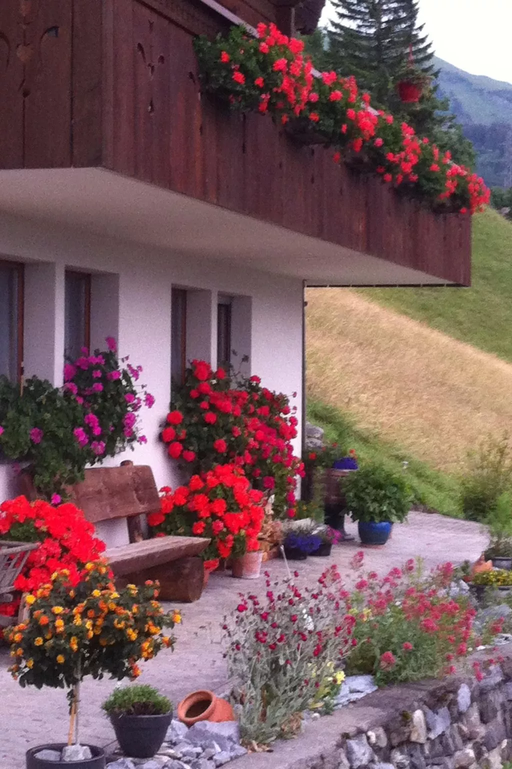 Anneliese Schaad Studio-Buiten