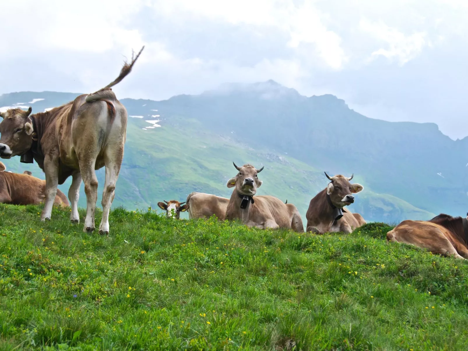 Schaad 4-Bett-Wohnung-Buiten