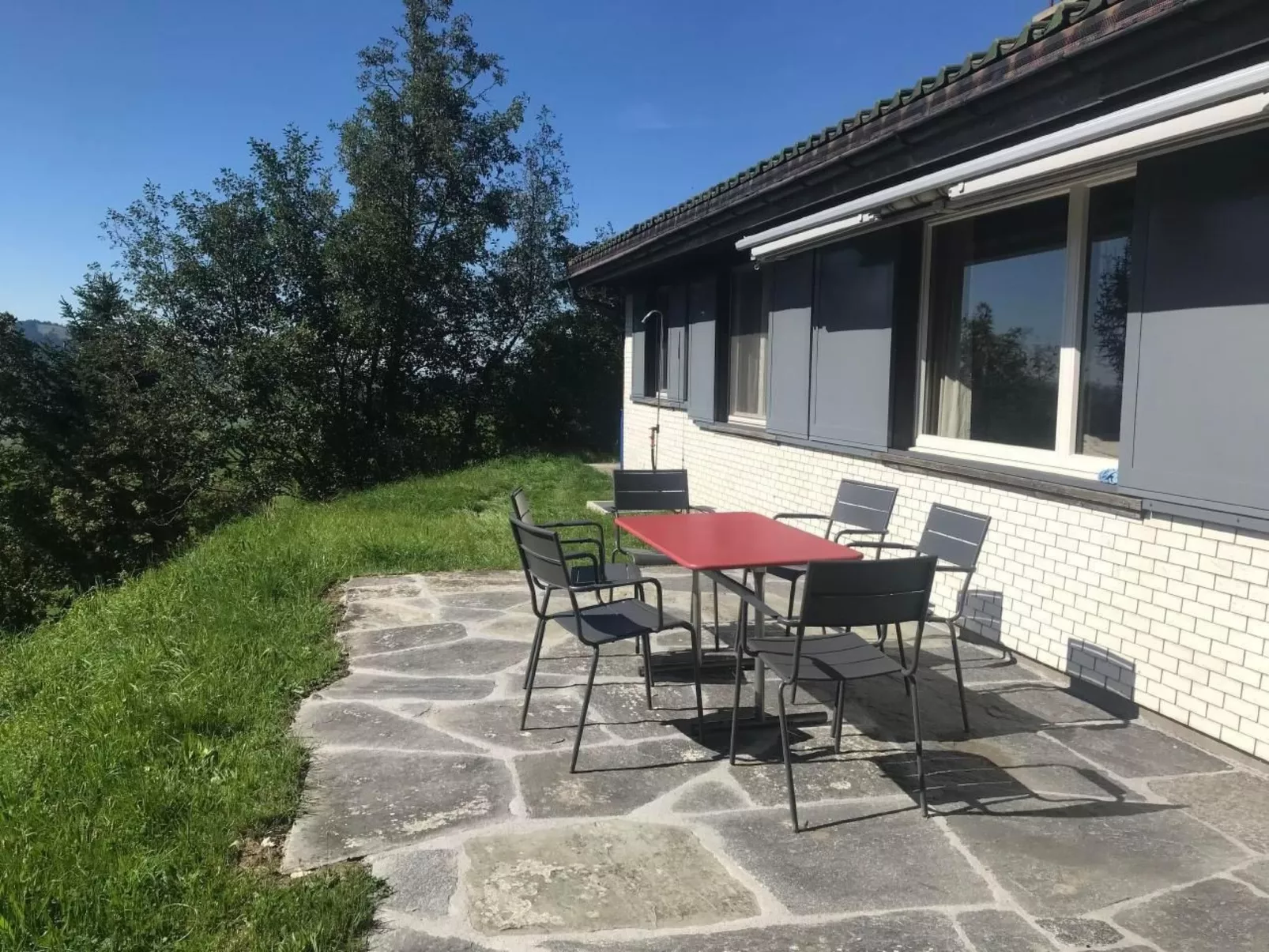 Soldanella-Image-tags.info