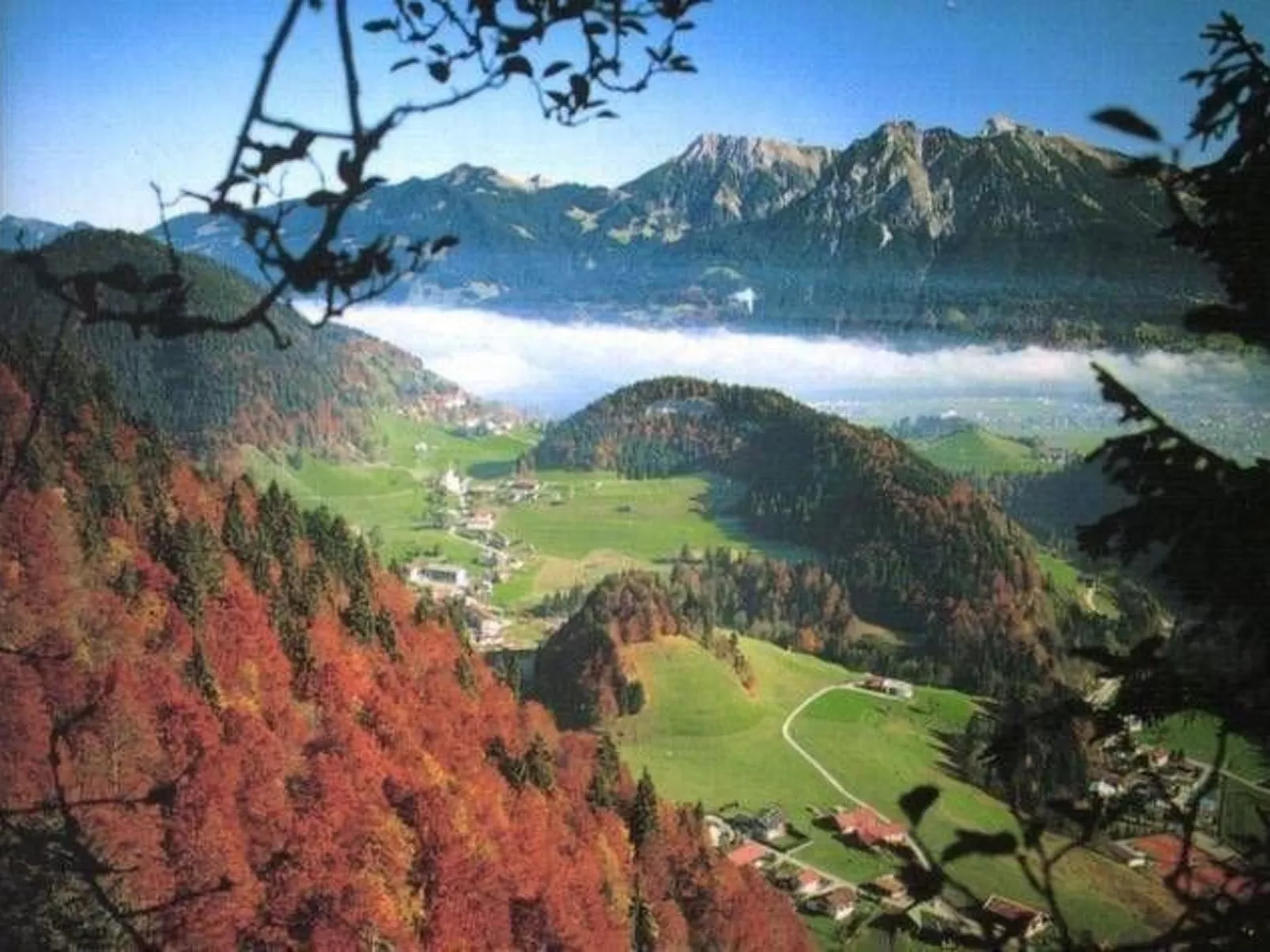 Falkenberg Wh 206-Image-tags.info