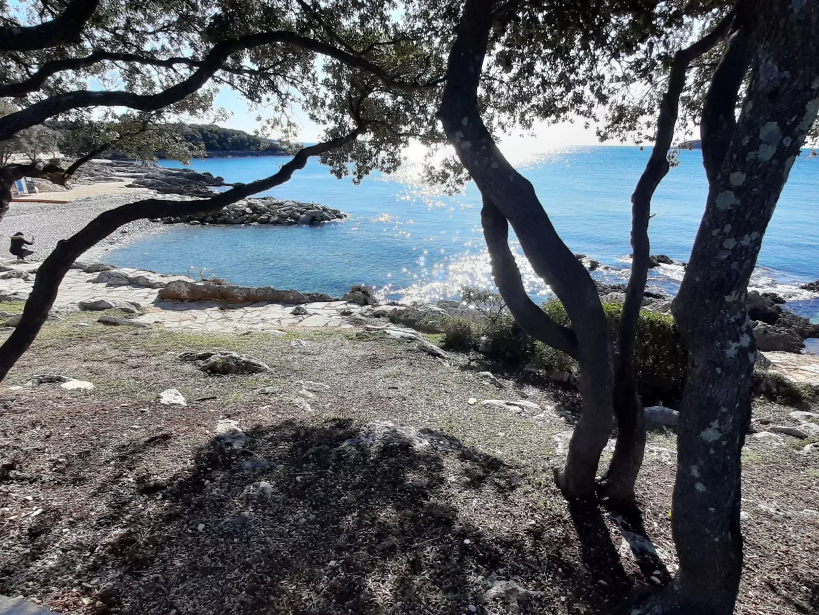 Kleine Wohnung mit schönem Balkon-Binnen