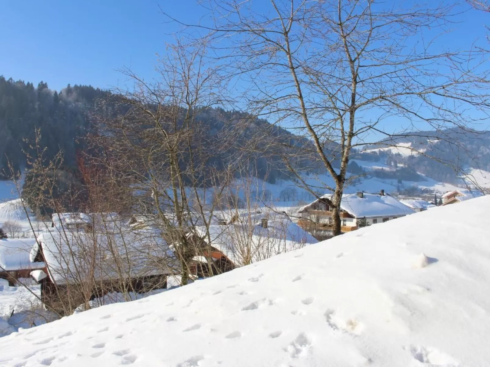 Alpkönigin - Buiten