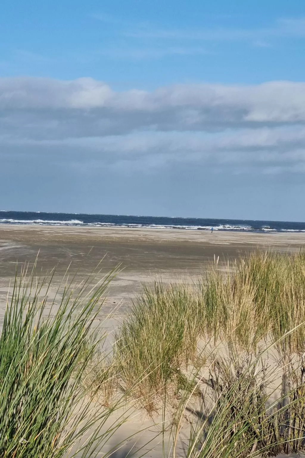 Süddünenidylle-Buiten