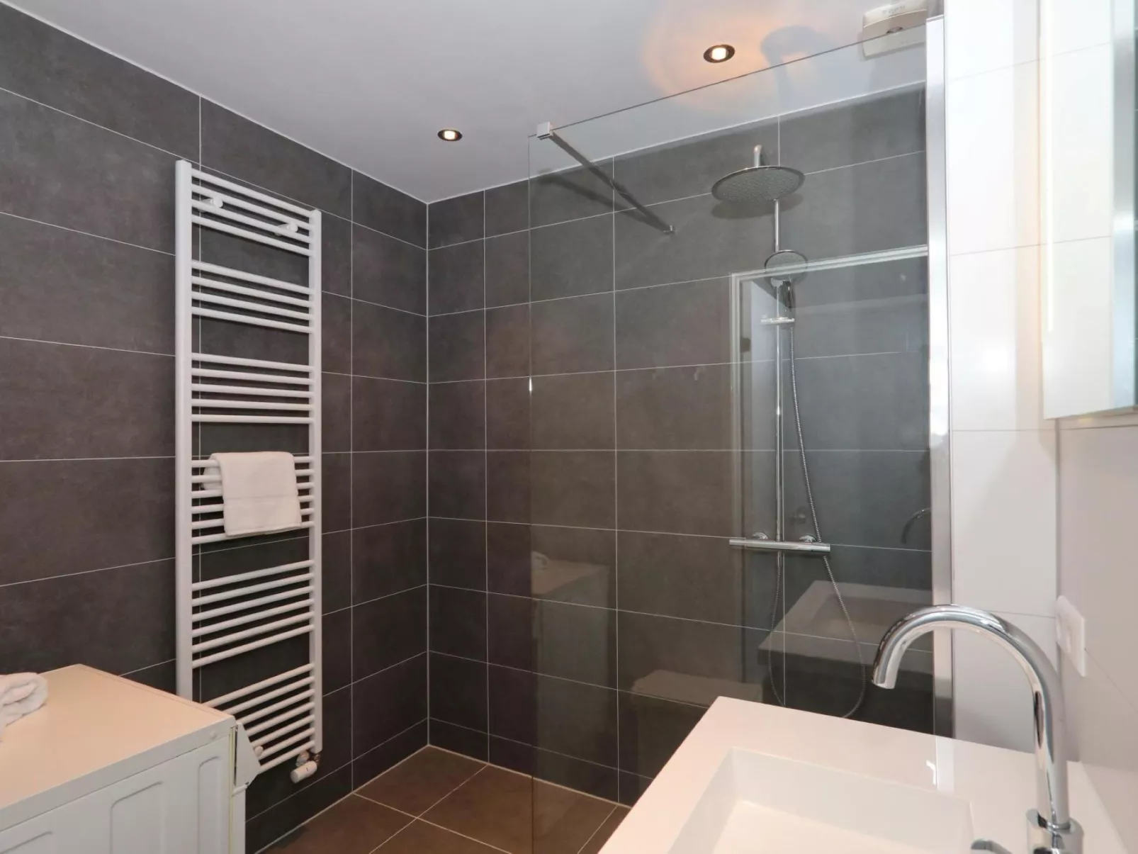 Hollandsche Tulp-Binnen