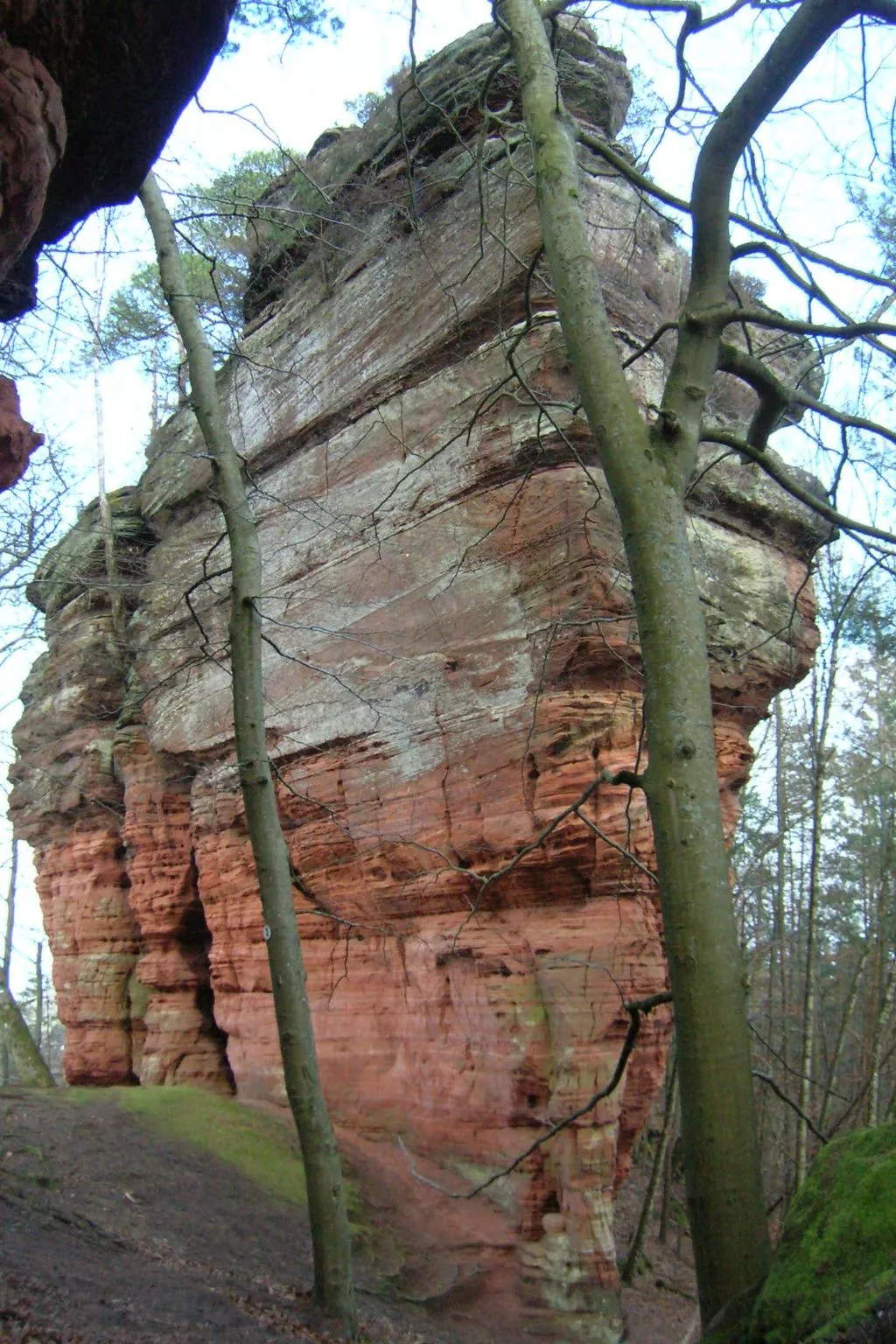 LES BRIMBELLES-Binnen