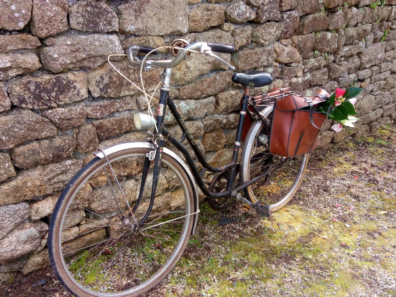 Bretagne Loctudy Haus Les Camélias 3 Personen-Binnen