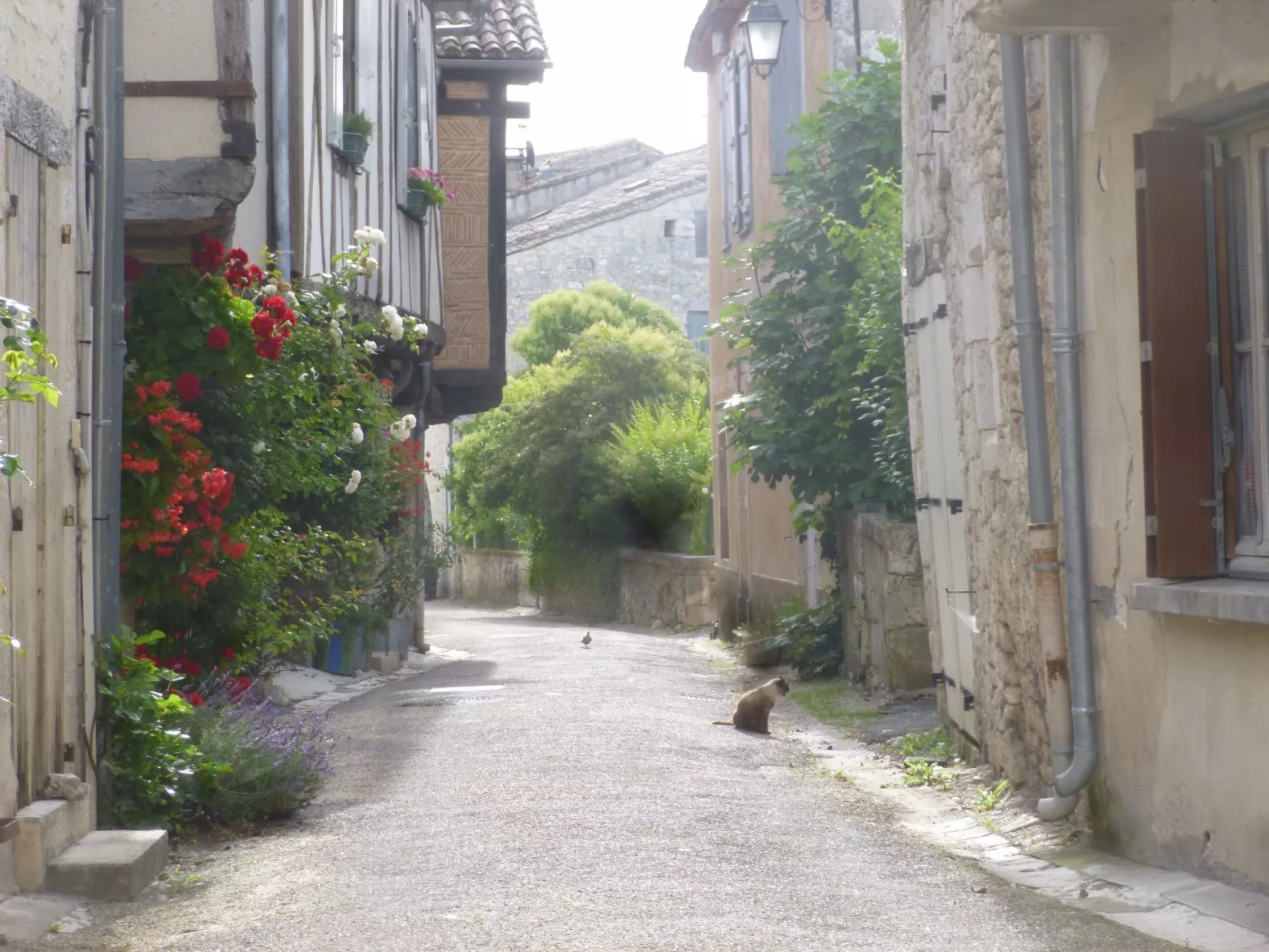 Fachwerkhaus "gitealienor perigord"-Binnen