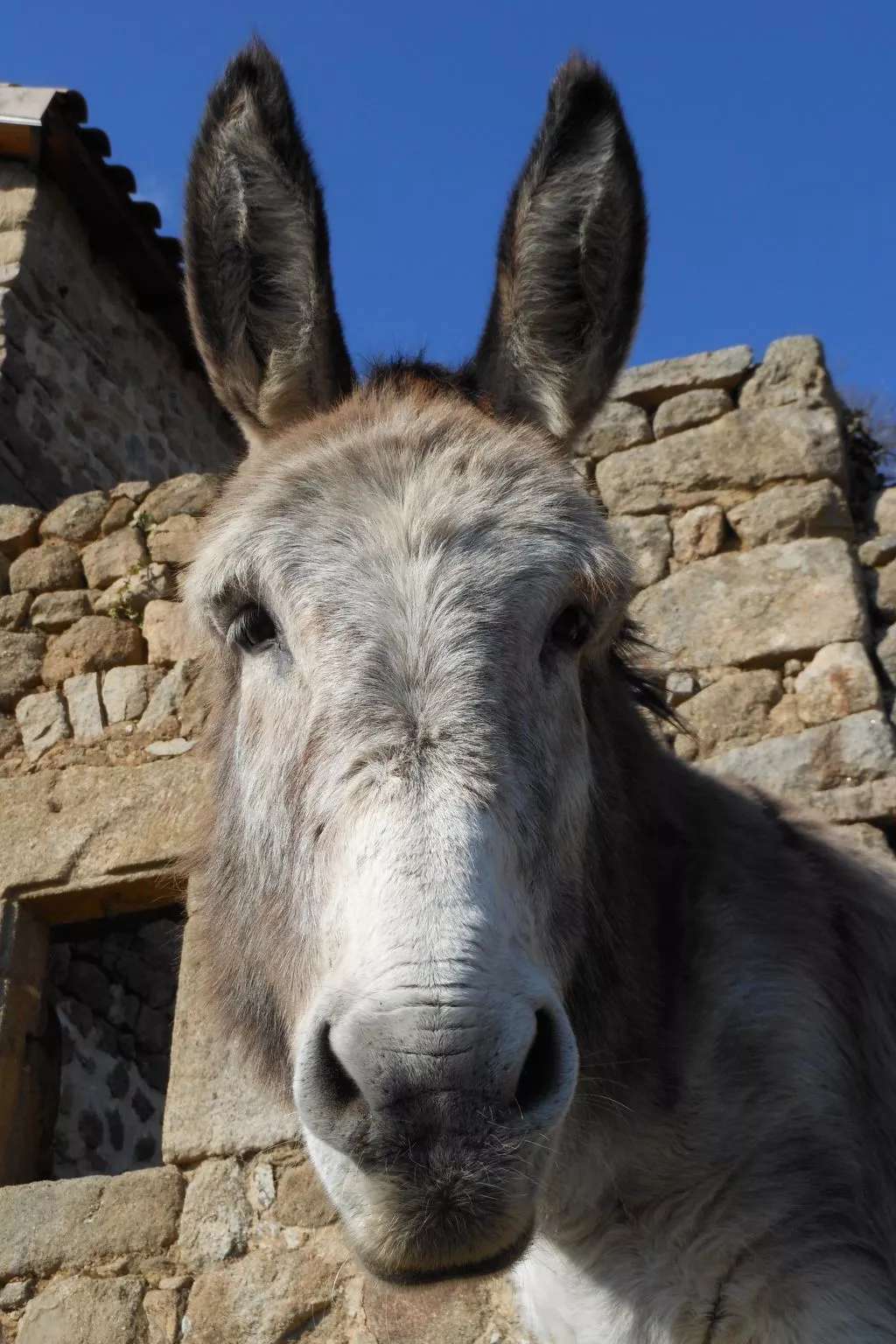 "Les Glycines"-Buiten