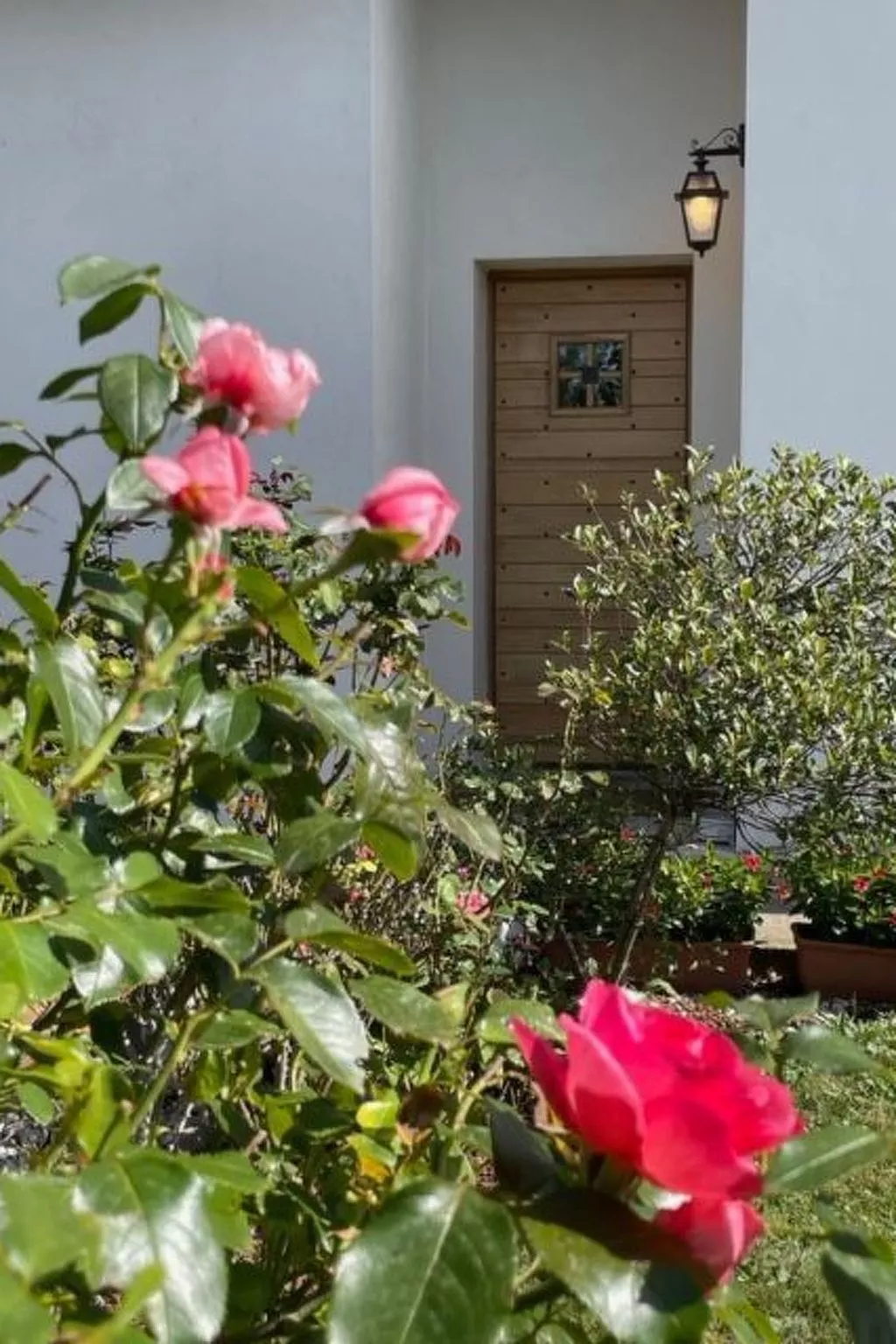 In Aiguebelette-Le-Lac mit Garten, Terrasse und Grill-Image-tags.info