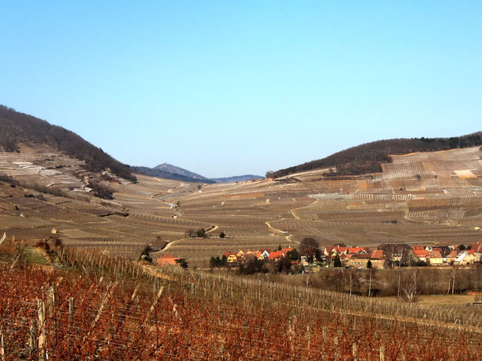 2ed-Face Vosges,im Süden,Herz Weinberg,Ruhig,WiFi-Buiten