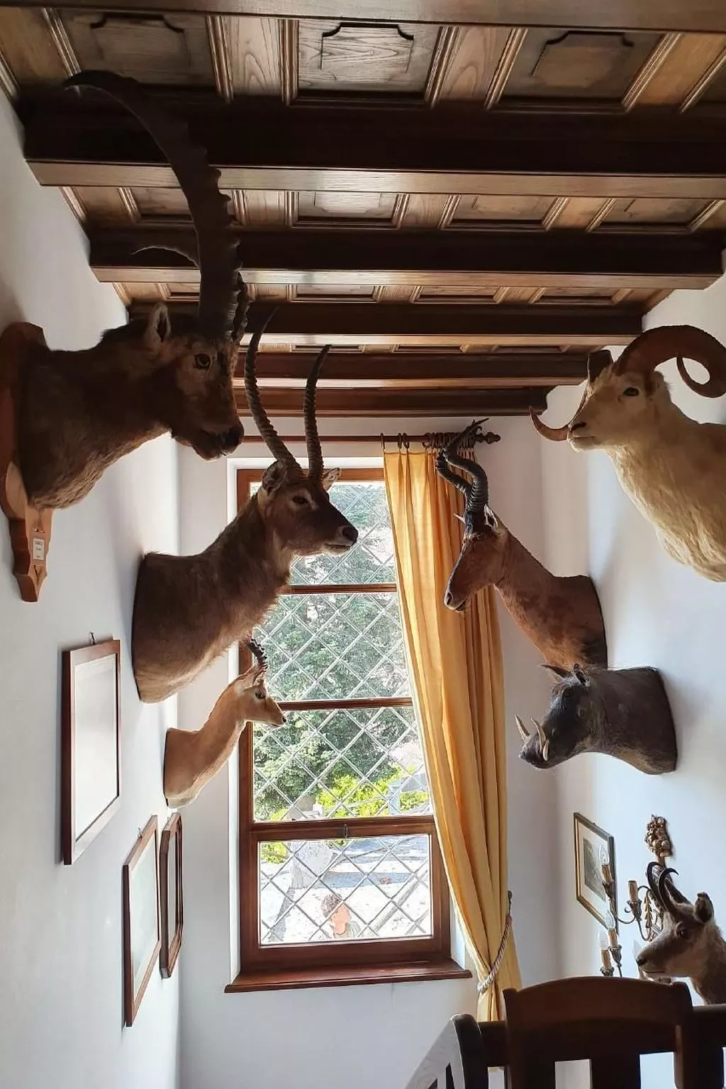 "Haus St. Bernhard-Buiten