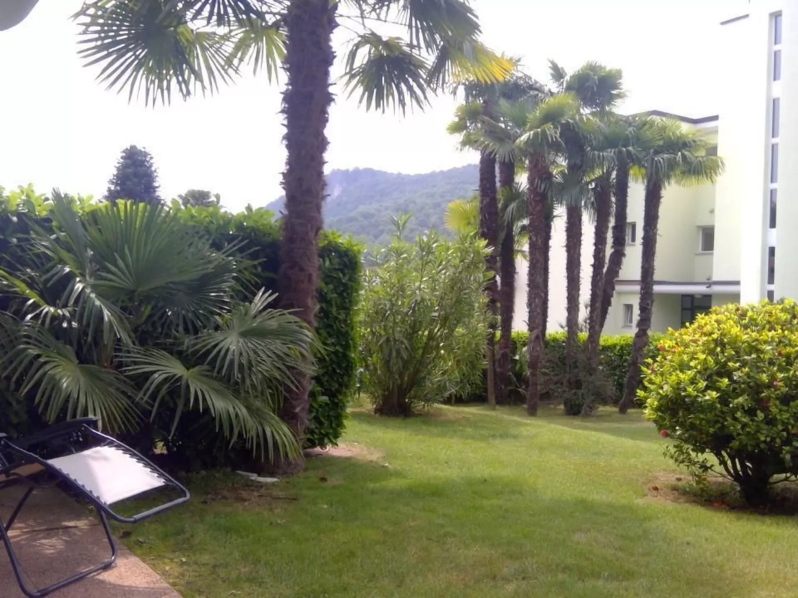 Gartenwohnung im Tessin mit Swimmingpool-Buiten