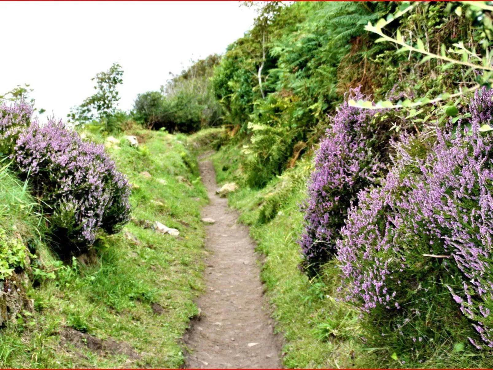 Gîte de Kerberso in Pléhédel-Buiten