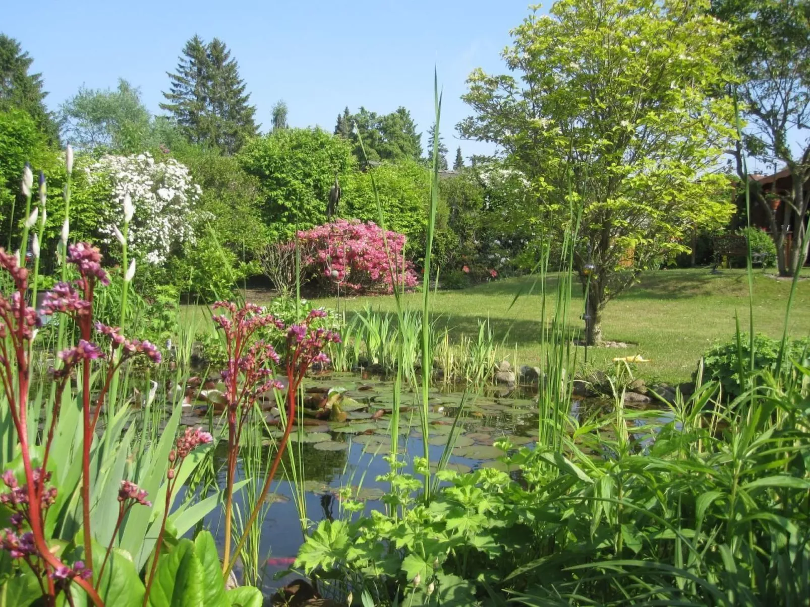 Landhaus am See-Binnen