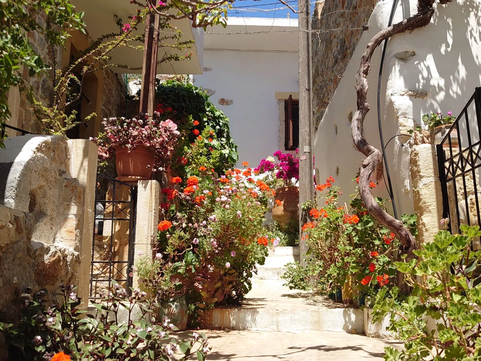 In Pefki mit Terrasse und Grill-Buiten