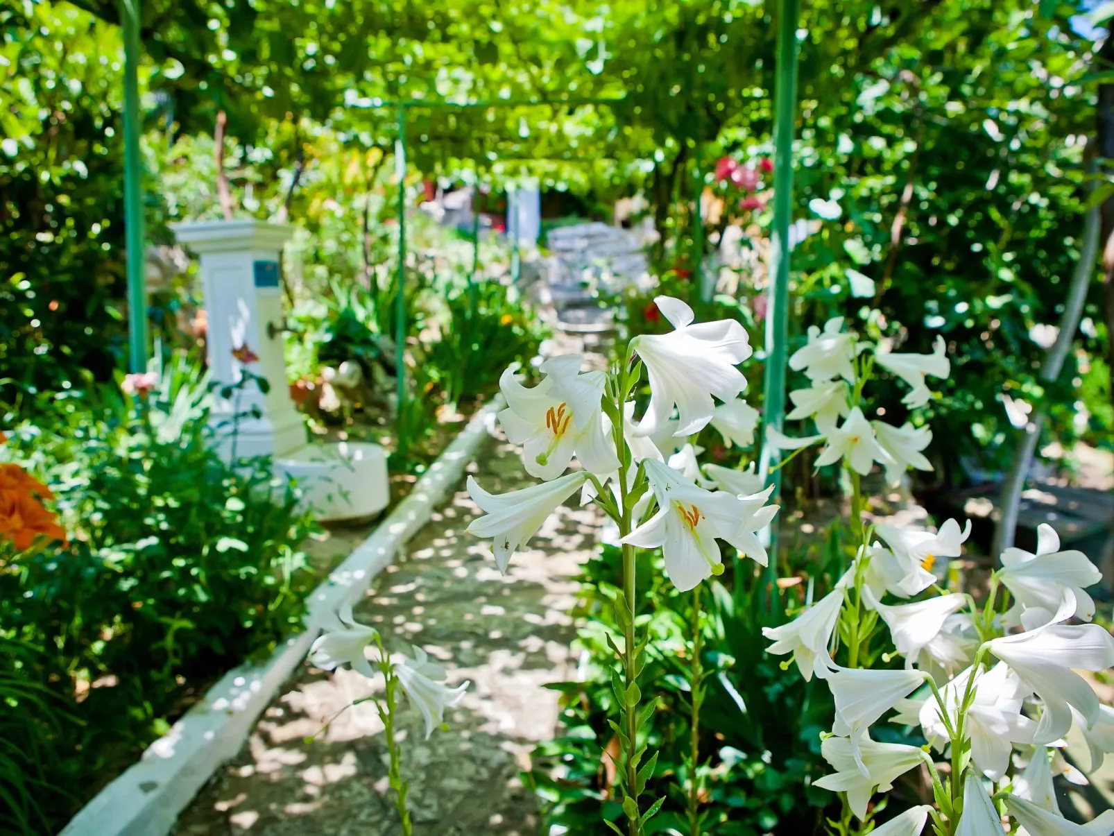 Mit Blick auf das Wasser-Buiten