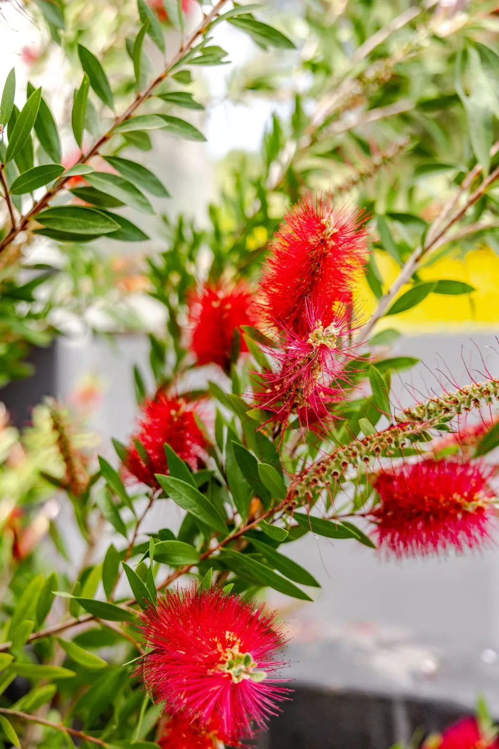 "TwinVilla Silberküste"-Buiten