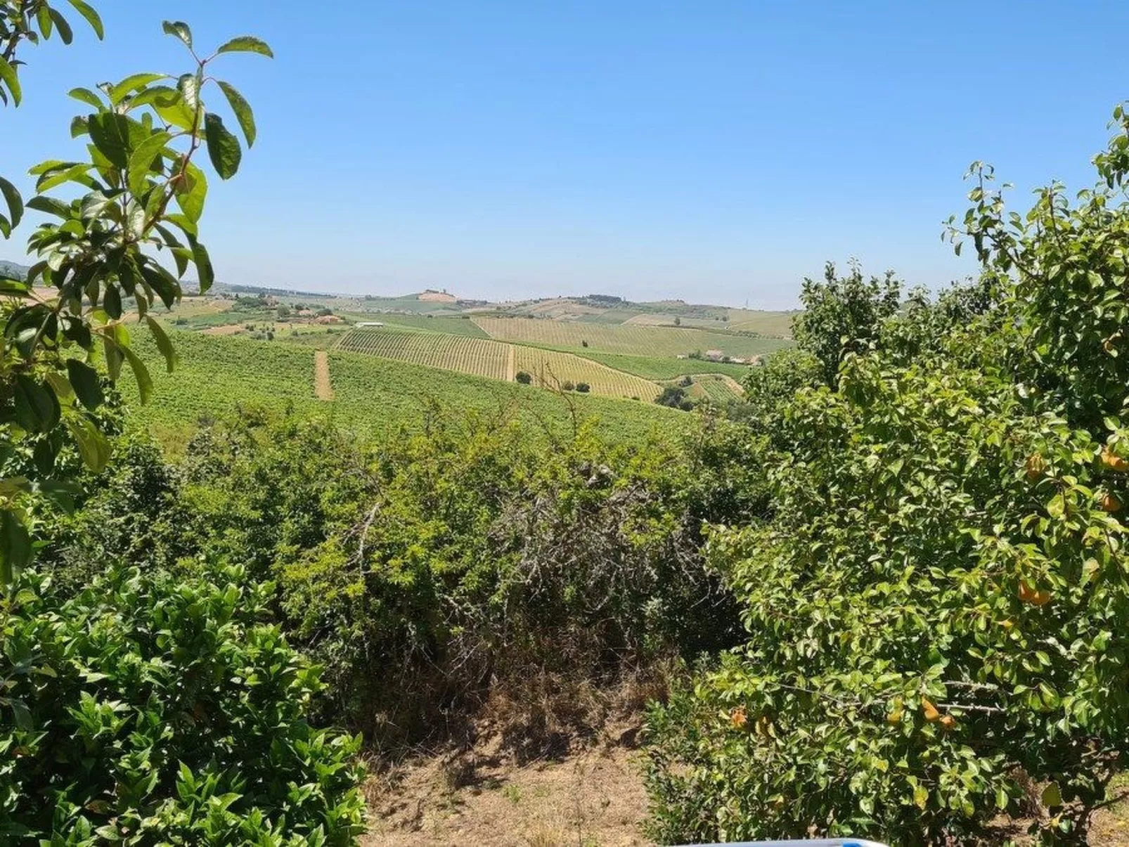 Haus in einem Bauernhof zwischen Weinbergen 2-Buiten