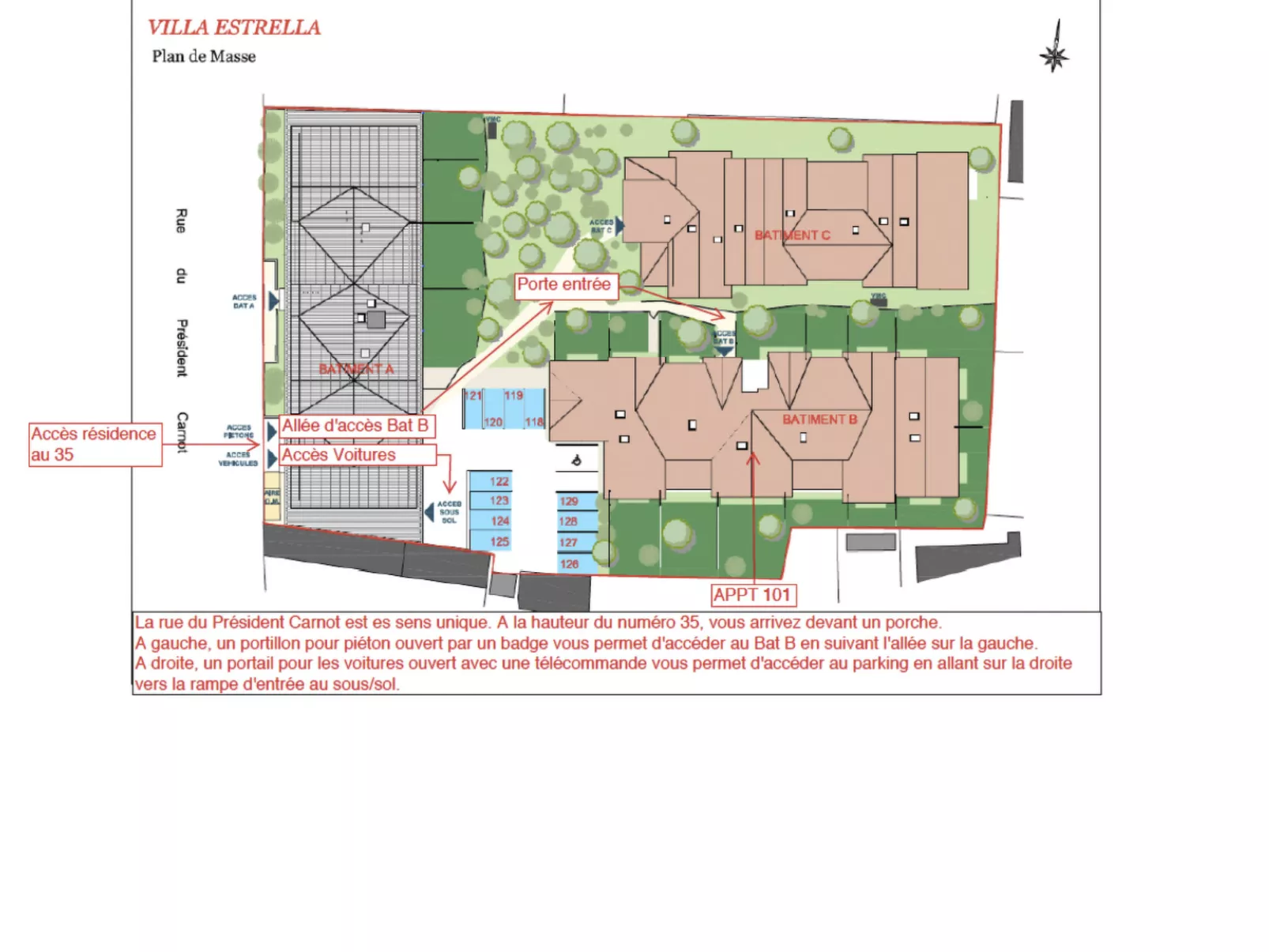 "Seepferdchen des Beckens"-Binnen