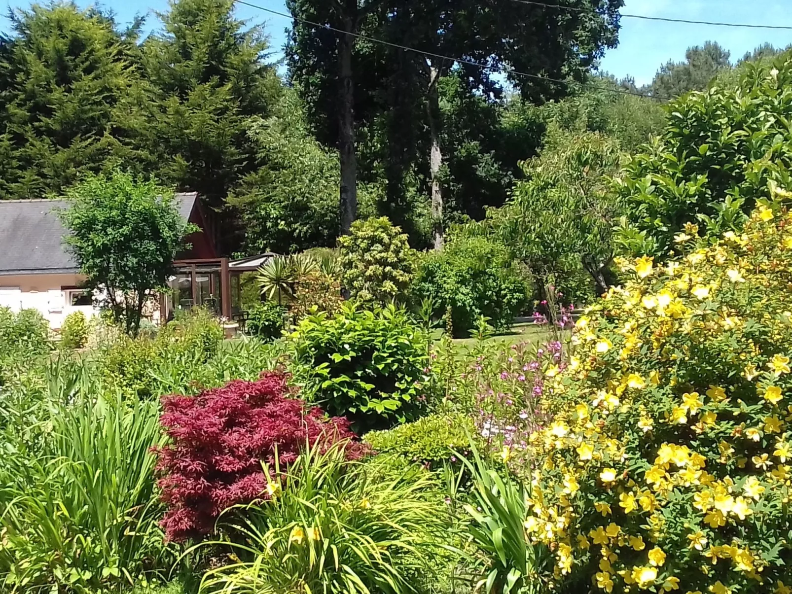 Chalet "gite du bois d'amour" (Hütte des Liebesh-Buiten
