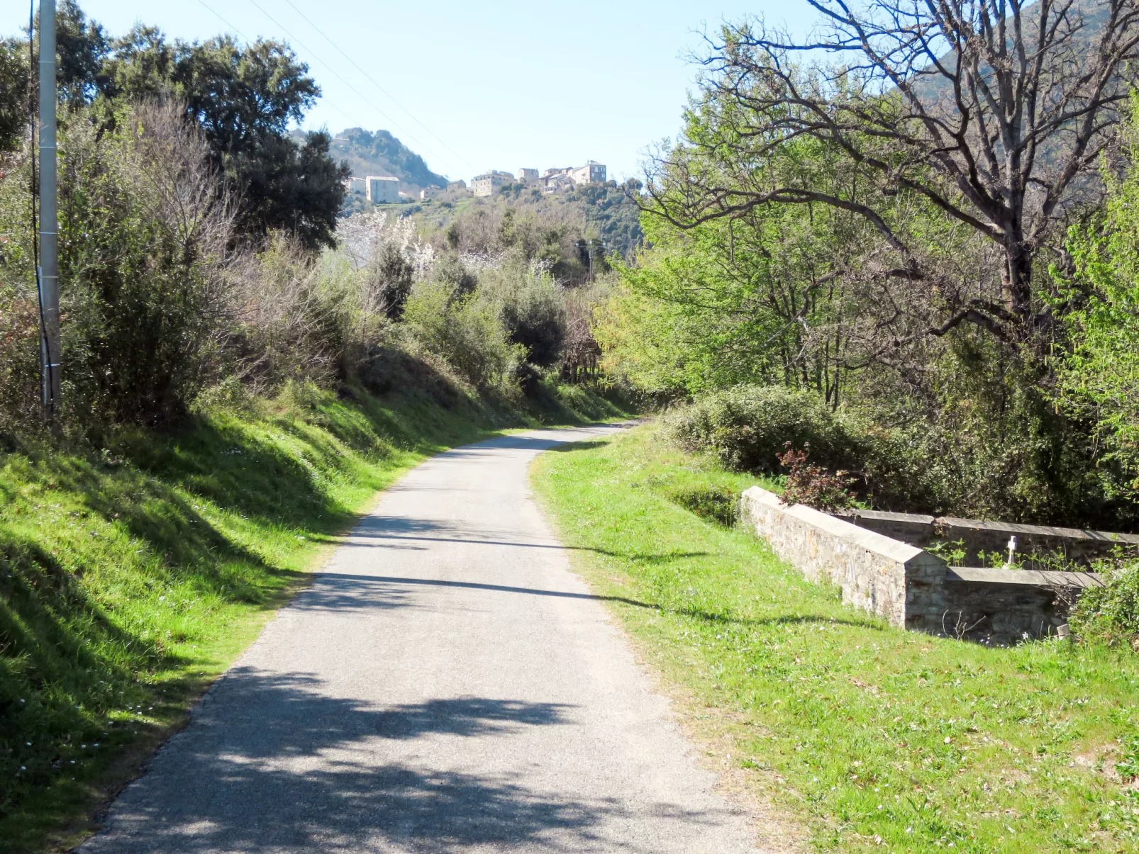 Weingut Punta della Guardia Ruhig und beschaulich-Omgeving