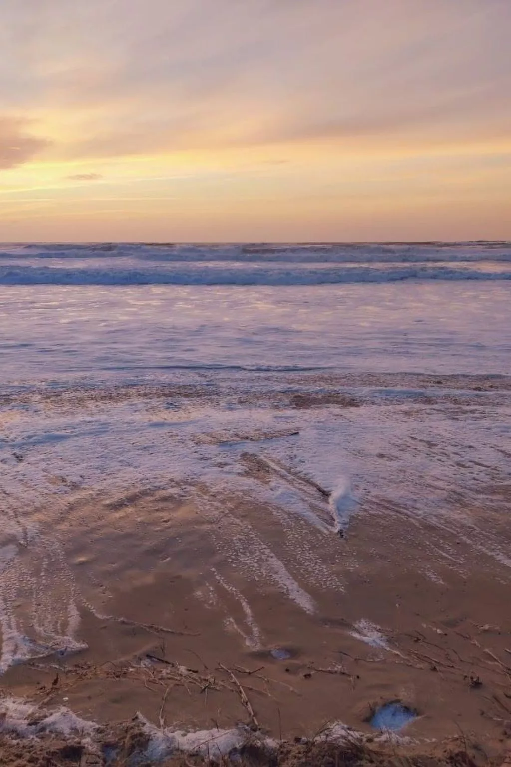 Villa Cocoon Contis-plage 1 chambre-Buiten