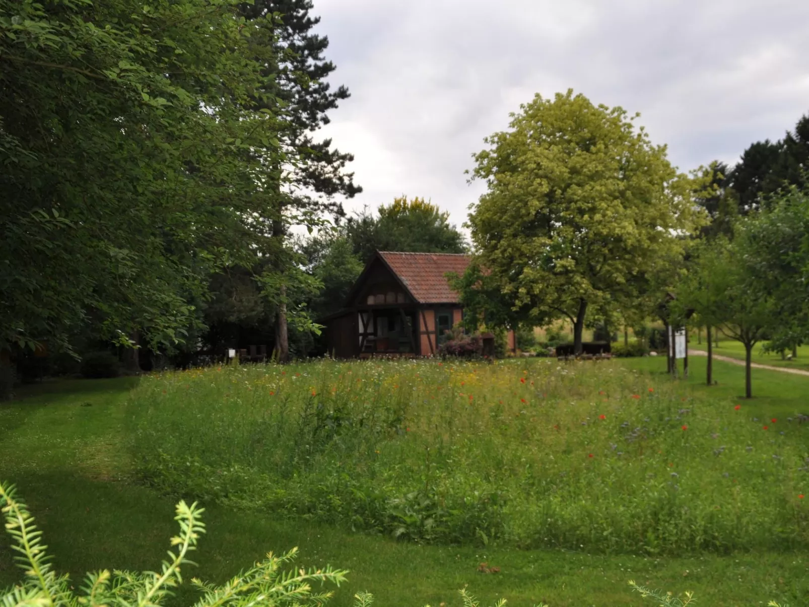 Rosalie - Ruhig - Zentral - Hochwertig-Buiten