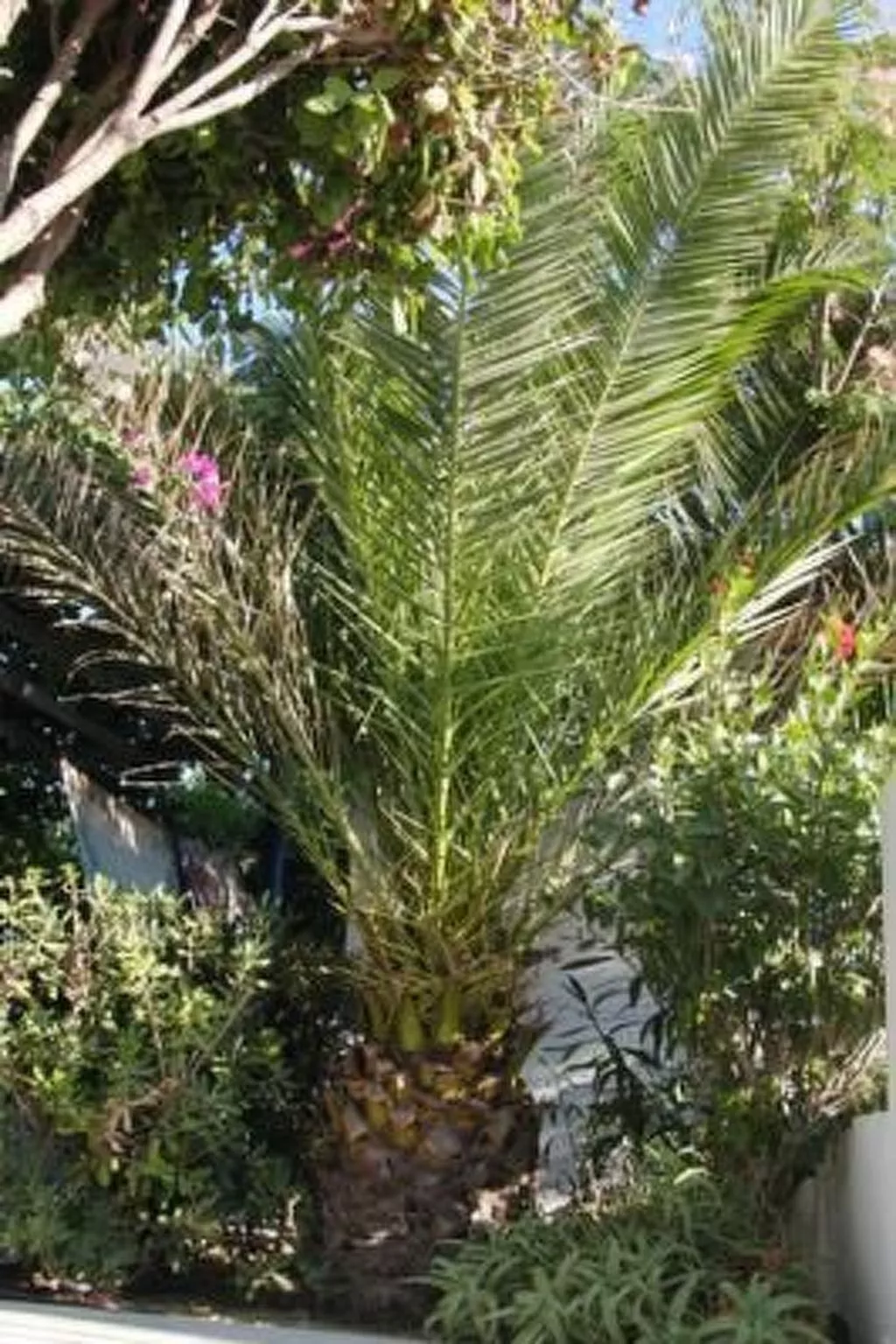 Castle View Haraki, ground floor ap4-Buiten