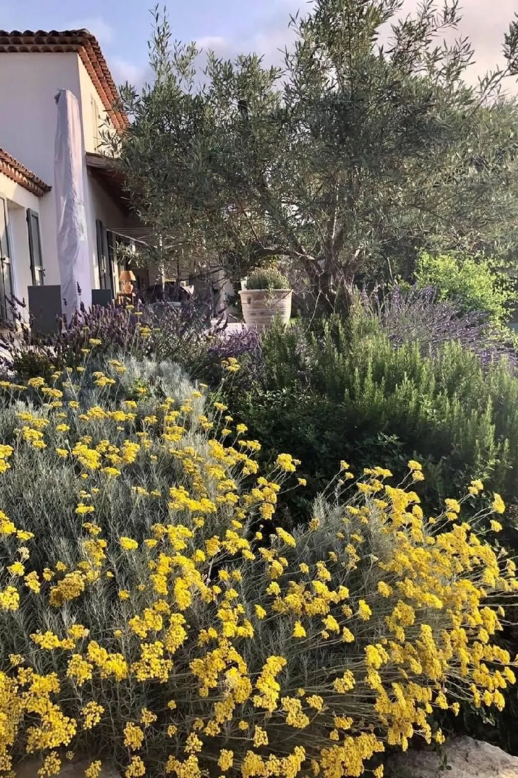 Côte d'Azur ganze Villa beheizter Pool Meerblick-Image-tags.info