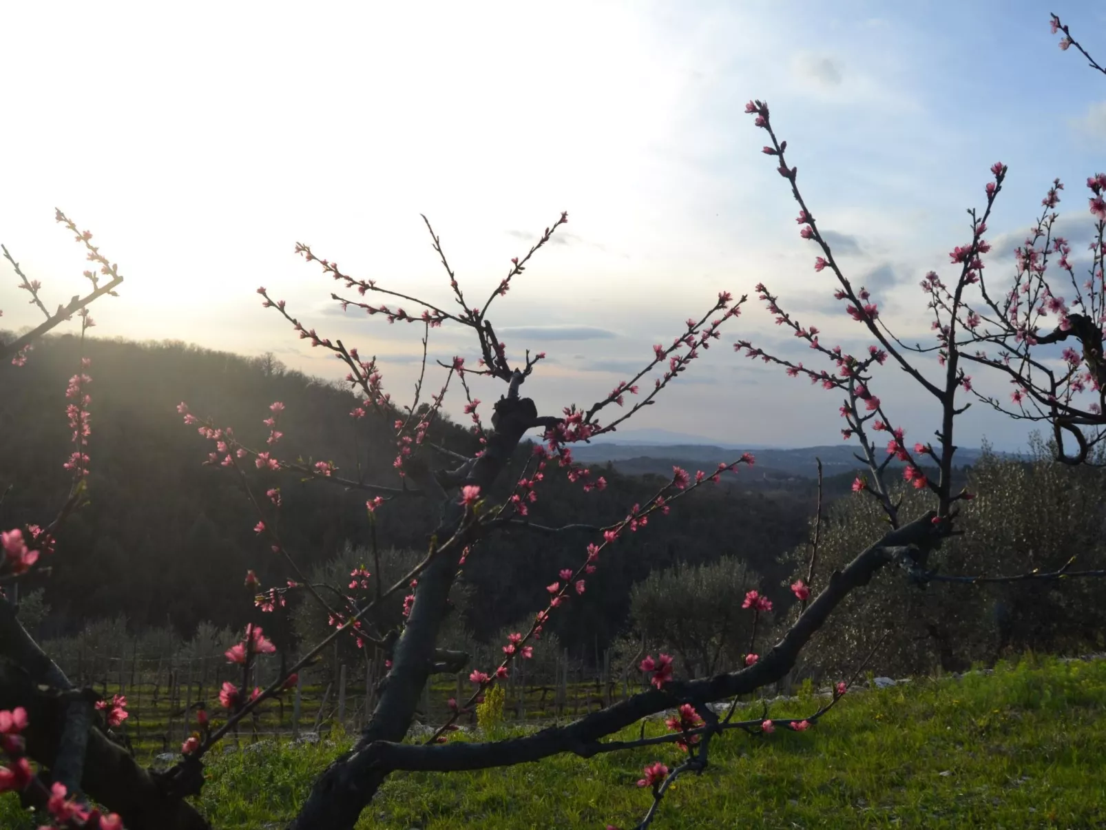 Anwesen "MonnaLisa" mit Schwimmbad-Buiten