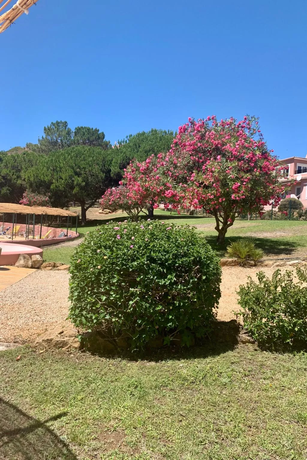 Casadaluz 86 maison vue mer à praia da luz-Image-tags.info