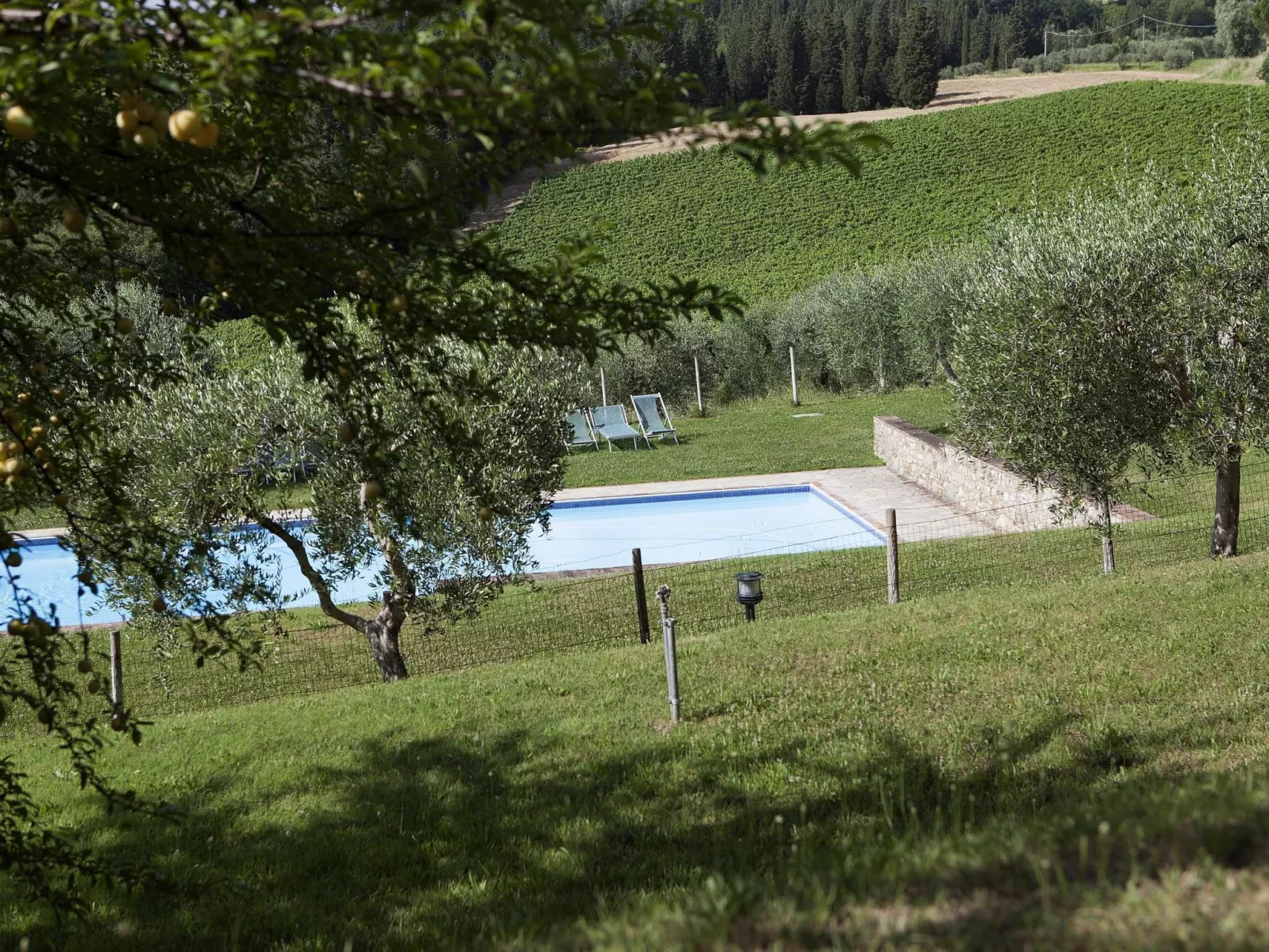 Flach "Giaggioli capponi-Buiten