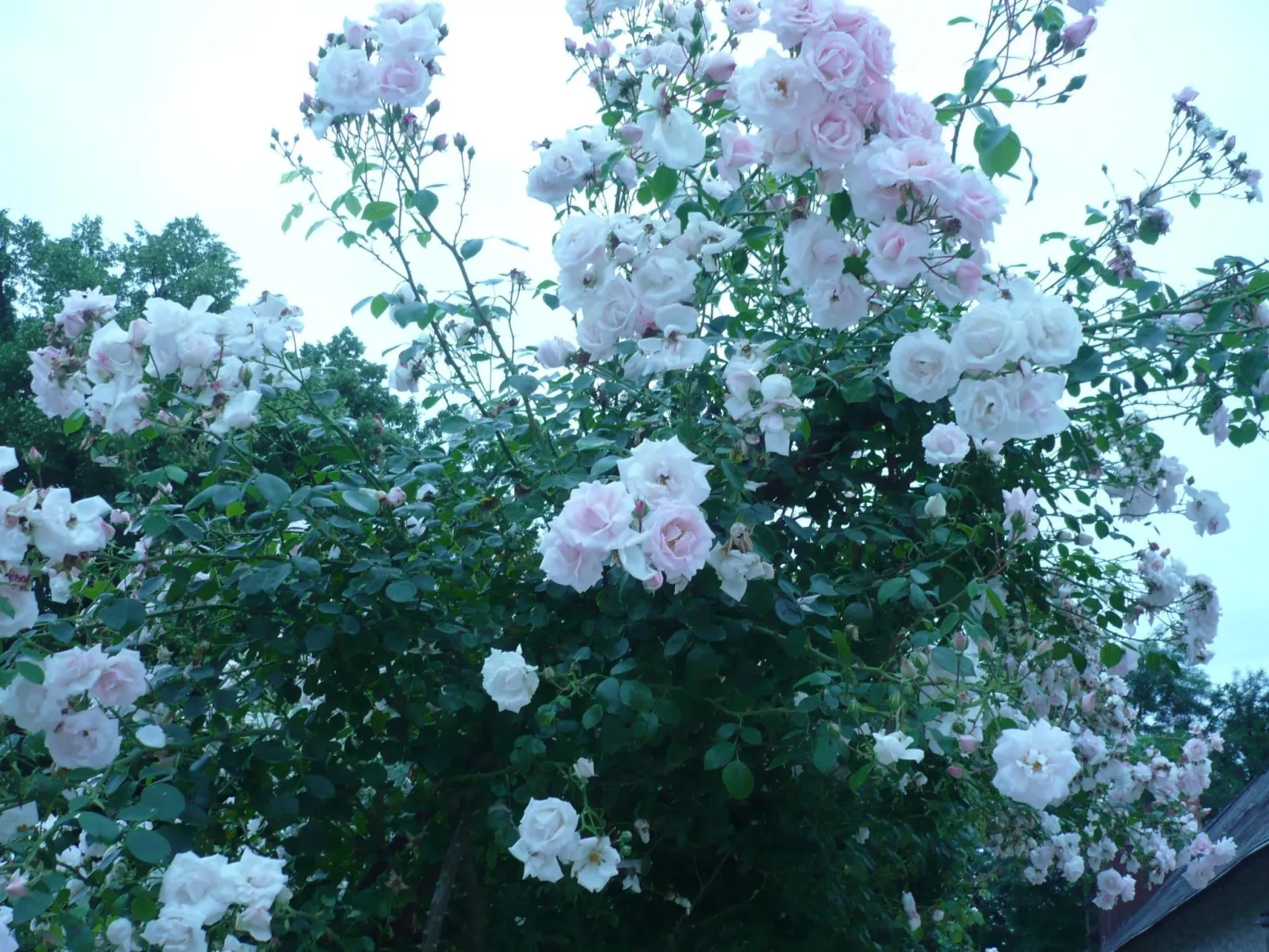 Haus freistehend Sonne Bett 160cm Patio billig-Binnen