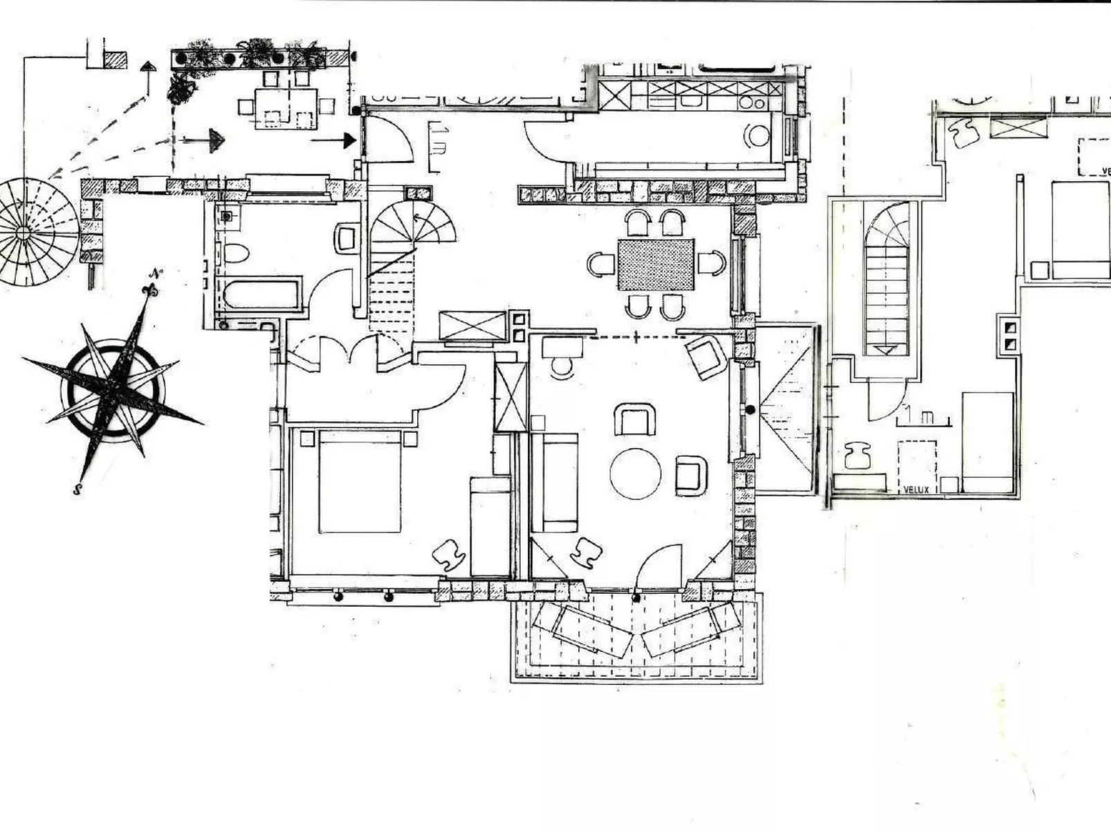 Viola-Image-tags.info