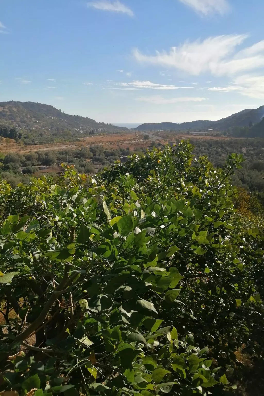 Das Haus der Julia-Binnen