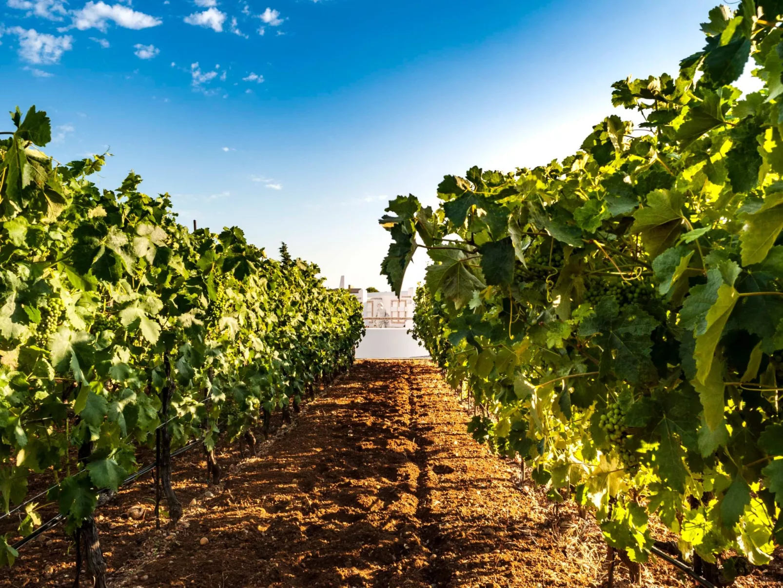 Ferienvilla Dionysus für 9 Personen-Image-tags.info