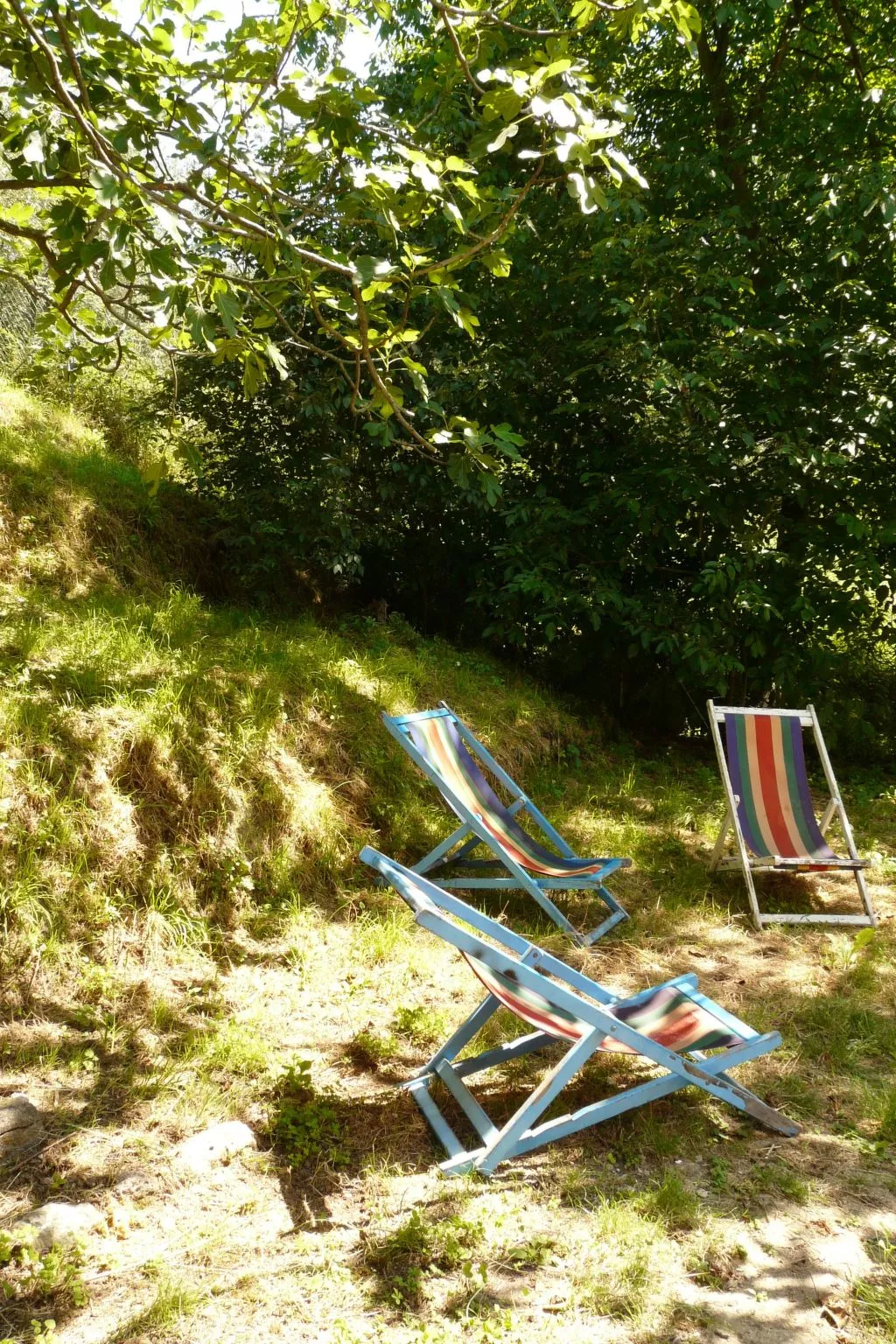 'Graceland' mit Garten und Terrasse-Buiten