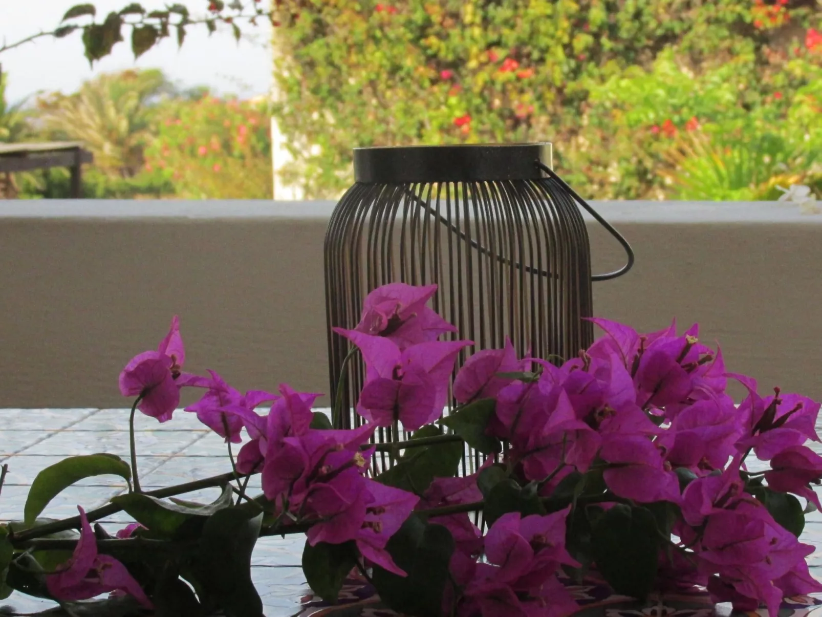 Romantische Wohnung in Pantelleria-Image-tags.info