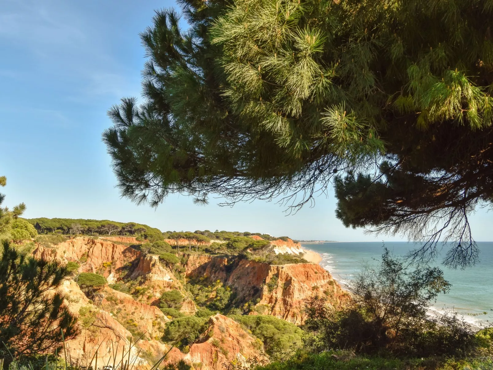 Wohnung "Falésia" mit Gemeinschaftspool-Buiten