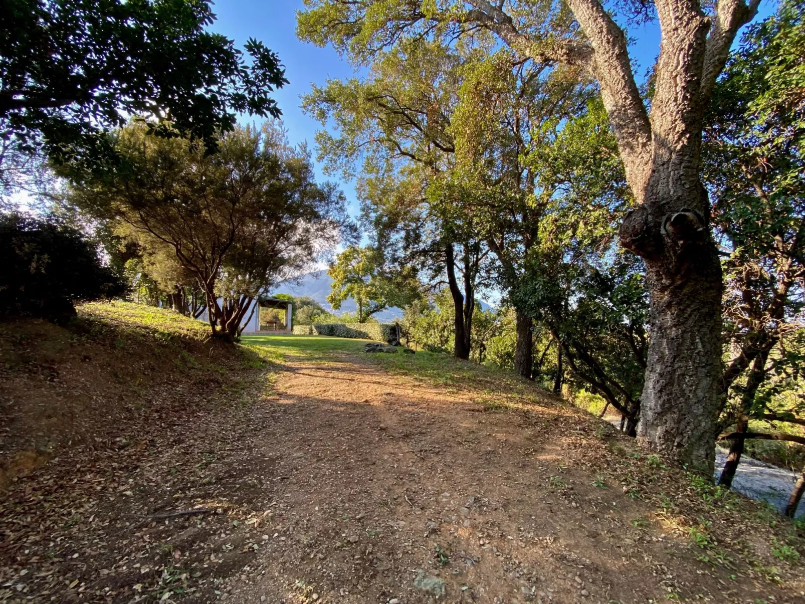 Villa mit Meerblick U Castagnu in geschützter Natur-Binnen