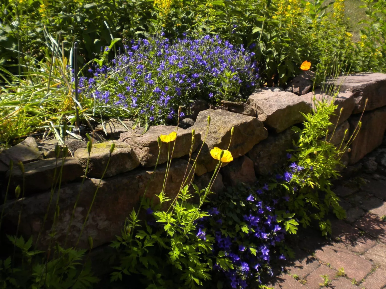 1ed-Face Vosges,au Sud,coeur Vignoble,Calme,WiFi-Image-tags.info