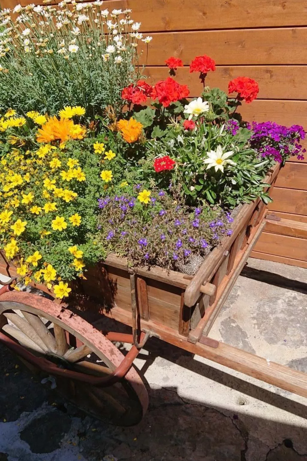 Alpen-Paradies-Binnen