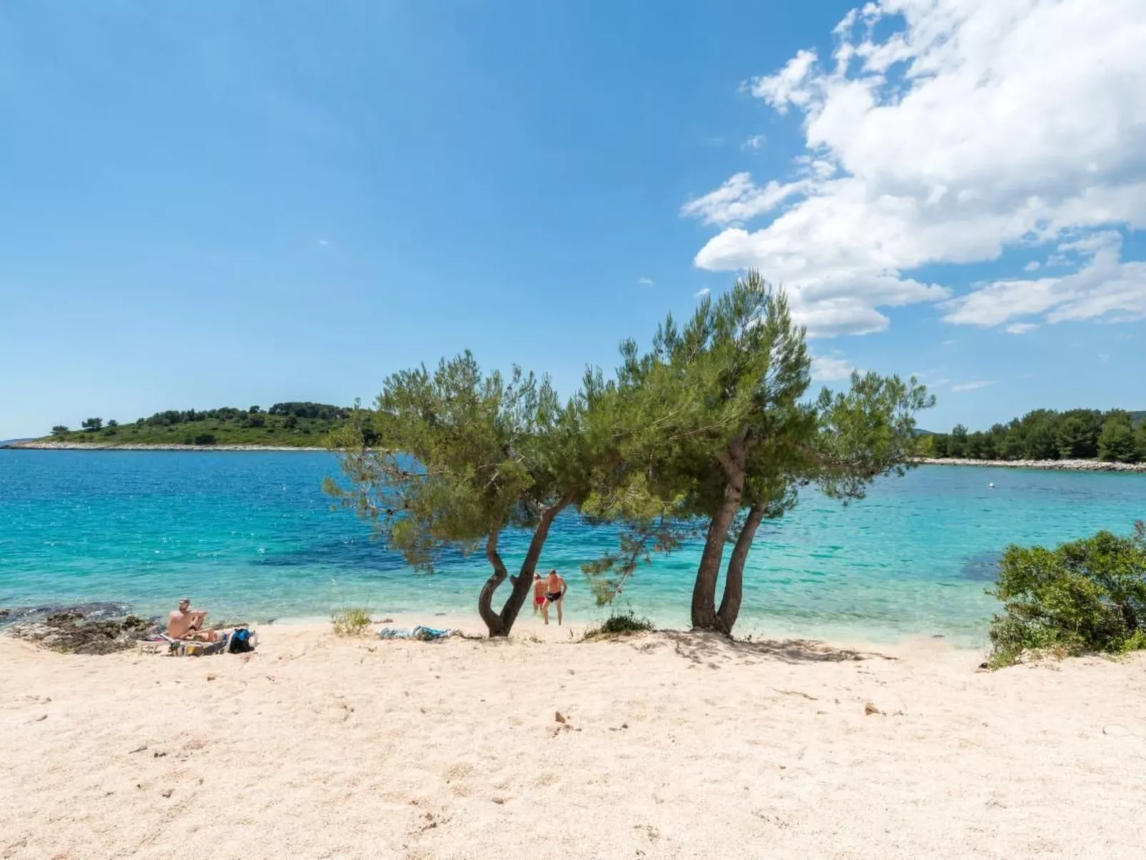 Sinaja-Image-tags.info