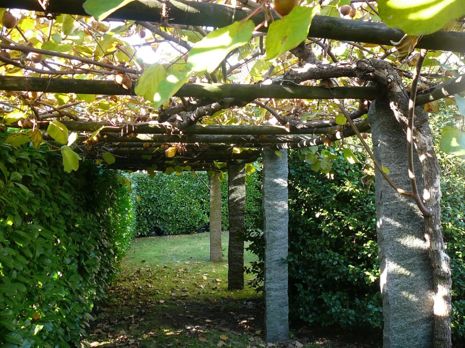 Casa Adelizia-Image-tags.info