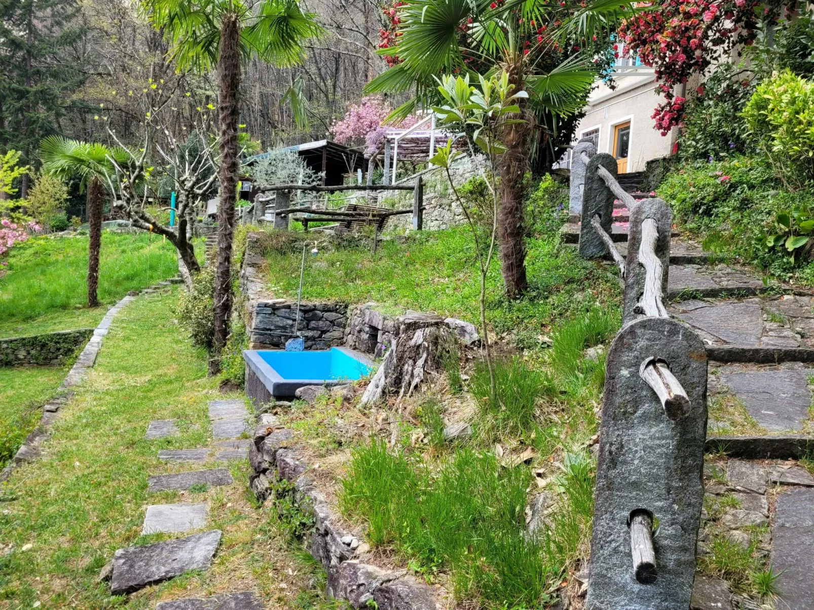 La Pineta-Image-tags.info