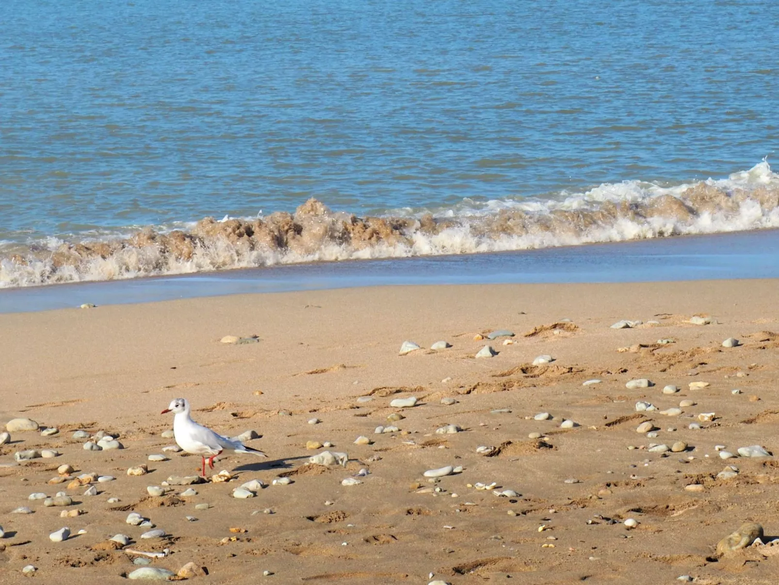 Landhaus Escapade Normande-Buiten